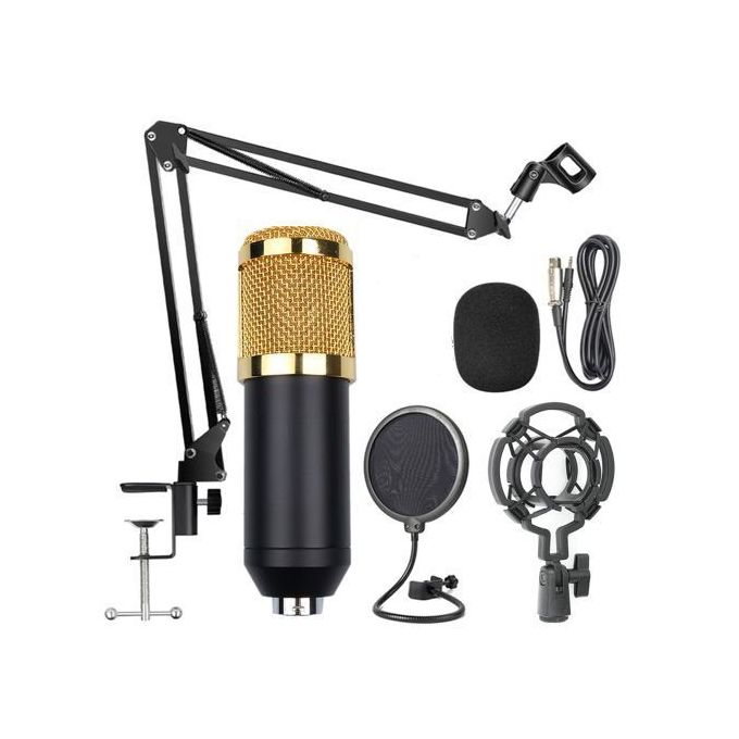 Pack Microphone BM-800 avec son Support Flexible